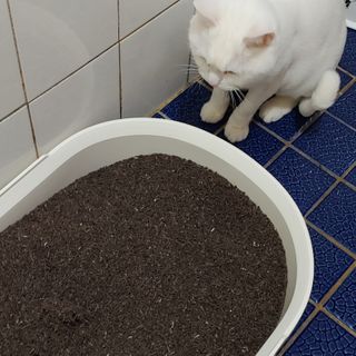 라온시연님이 올린 리뷰 사진 1