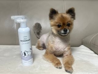 꿀냥이님이 올린 리뷰 사진 1
