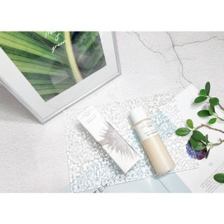 콩콩님이 올린 리뷰 사진 1