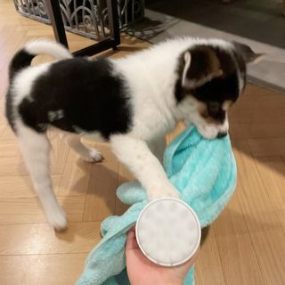 CW님이 올린 리뷰 사진 2
