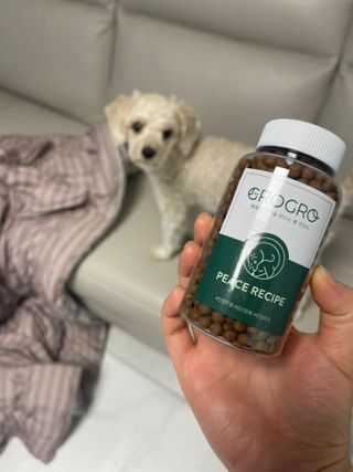펫21 그로그로 5종 강아지 고양이 반려동물 한방 영양제 — 4.5점을 준 리뷰어가 2021년 12월 올린 사용 사진