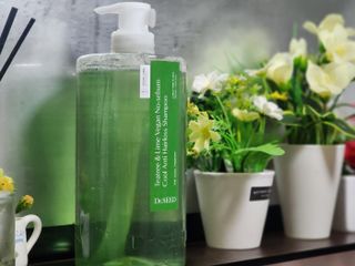 닥터시드 티트리 앤 라임 비건 지성케어 쿨 탈모 샴푸 (1000ml) — 5점을 준 리뷰어가 2023년 12월 올린 사용 사진