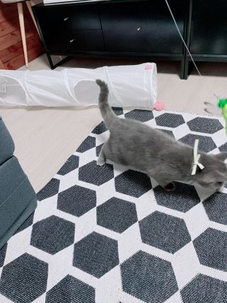 sehee님이 올린 리뷰 사진 3