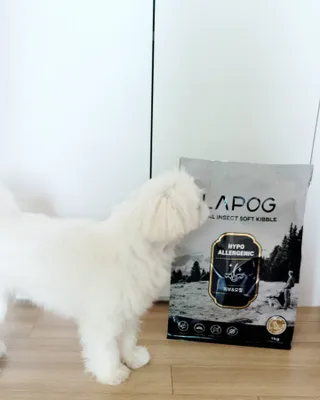[푸디웜] 라포그 리얼인섹트 소프트키블 스킨 1KG — 5점을 준 리뷰어가 2022년 9월 올린 사용 사진