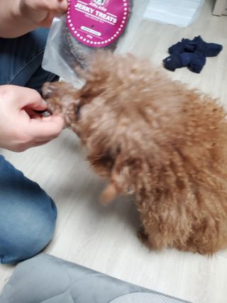 준맘님이 올린 리뷰 사진 3