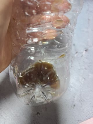 프리마인 자체 기업부설 연구소에서 찾아낸 건강한 수면의 비밀.  슬립토 플러스 30포 — 5점을 준 리뷰어가 2023년 4월 올린 사용 사진