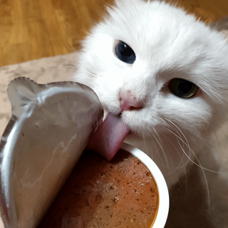 suususu님이 올린 리뷰 사진 1