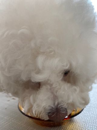 갱스님이 올린 리뷰 사진 4