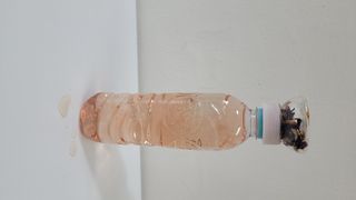 한아님이 올린 리뷰 사진 4