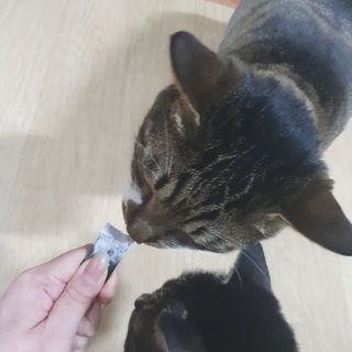 징니คʕ•ﻌ•ʔค님이 올린 리뷰 사진 3