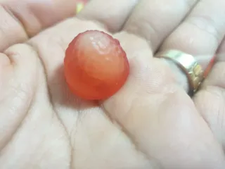 퍼스트캠퍼님이 올린 리뷰 사진 2