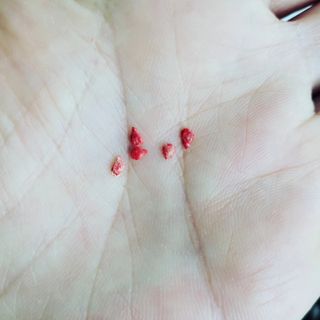 꽃바람님이 올린 리뷰 사진 4