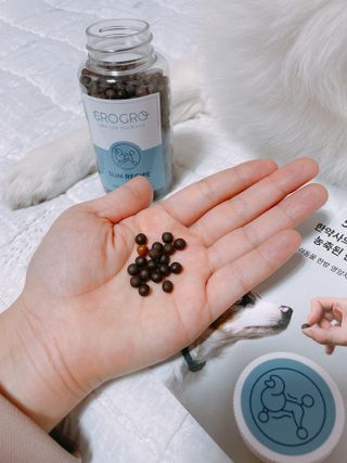 펫21 그로그로 5종 강아지 고양이 반려동물 한방 영양제 — 5점을 준 리뷰어가 2021년 11월 올린 사용 사진