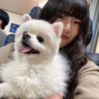 잇슈님이 올린 리뷰 사진 4
