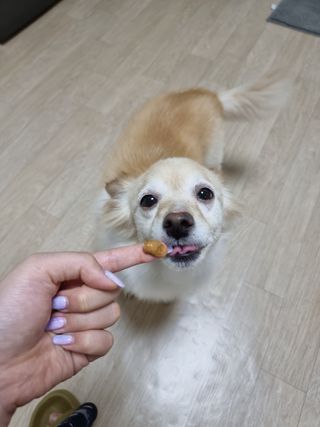 은둔샘님이 올린 리뷰 사진 2