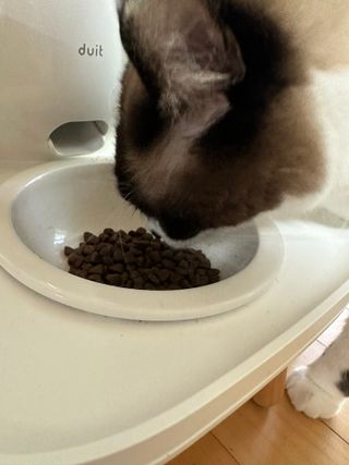 예지님이 올린 리뷰 사진 1