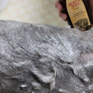 lemoniee님이 올린 리뷰 사진 3