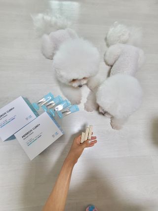 페페로니 2종 세트 클린플러스 덴탈껌 치킨+덕 — 5점을 준 리뷰어가 2021년 8월 올린 사용 사진