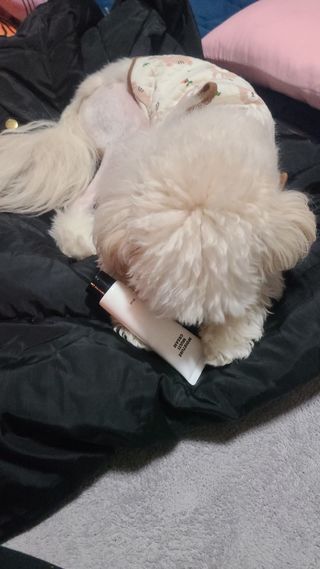 쿵이님이 올린 리뷰 사진 3