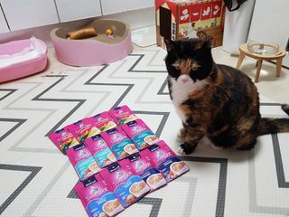 솔탄이love님이 올린 리뷰 사진 1