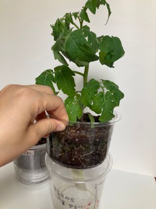바노피파이님이 올린 리뷰 사진 4