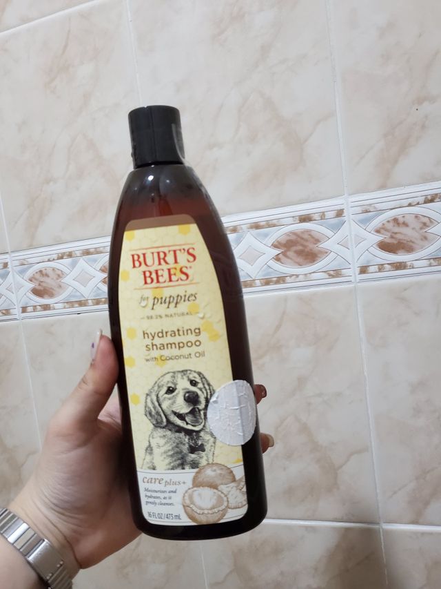 버츠비 케어플러스 하이드레이팅 퍼피 샴푸 리뷰 사진