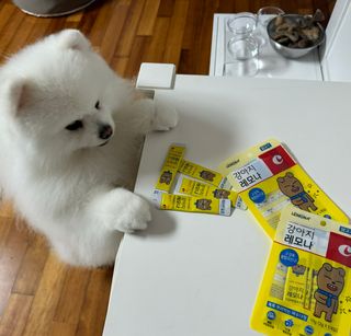 츄야님이 올린 리뷰 사진 2