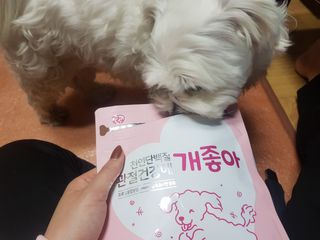 My Pet Care 천연단백질 관절건강에 개좋아 — 5점을 준 리뷰어가 2021년 2월 올린 사용 사진