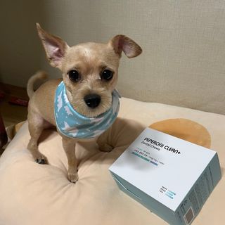 페페로니 클린플러스 덴탈치킨껌 10g x 14p — 5점을 준 리뷰어가 2021년 7월 올린 사용 사진