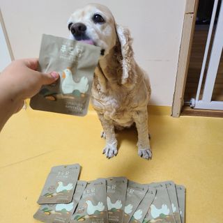 도그퓨어 푸드닭 강아지 닭고기 통살 애견간식 오리지널/차전자피/초록입홍합 — 5점을 준 리뷰어가 2021년 10월 올린 사용 사진
