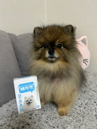지영님이 올린 리뷰 사진 1