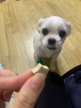 bibi1517님이 올린 리뷰 사진 4