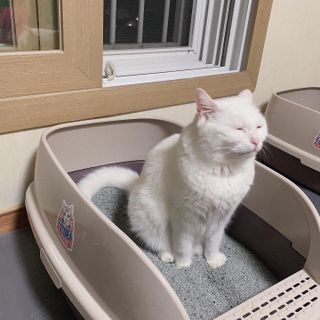 ㄹ진님이 올린 리뷰 사진 1
