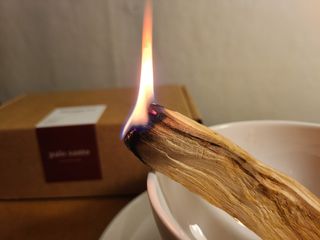 코코민네님이 올린 리뷰 사진 2