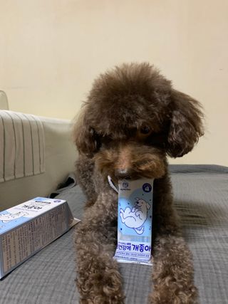 콩지님이 올린 리뷰 사진 3
