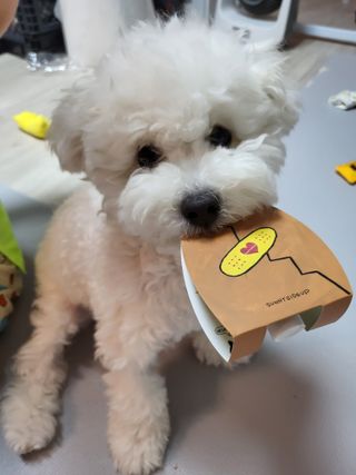 윤토마토님이 올린 리뷰 사진 2