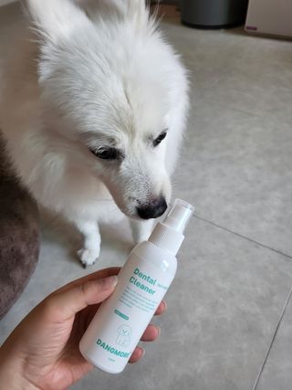 [댕모어 클리너 3종] 아이클리너 / 이어클리너 / 덴탈클리너 3종 세트 (120ml) — 4.5점을 준 리뷰어가 2023년 9월 올린 사용 사진