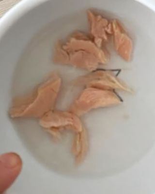 도그퓨어 푸드닭 강아지 닭고기 통살 애견간식 오리지널/차전자피/초록입홍합 — 5점을 준 리뷰어가 2021년 11월 올린 사용 사진