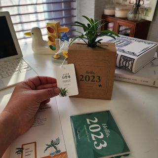 [메이크정글] 식물과 달력이 하나로, 2023년 식물캘린더 No.1 — 5점을 준 리뷰어가 2022년 10월 올린 사용 사진