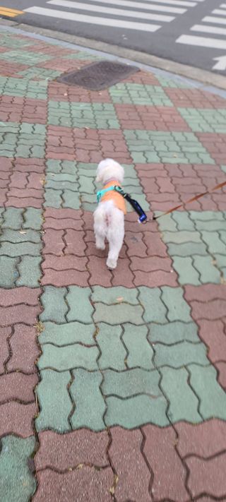 삐랭이님이 올린 리뷰 사진 3