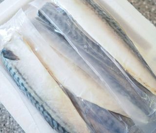 ㈜금호통상 노르웨이 고등어 900g (6~10편) — 5점을 준 리뷰어가 2023년 7월 올린 사용 사진