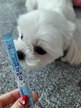 뽀블리님이 올린 리뷰 사진 2
