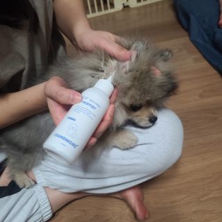 [댕모어 클리너 3종] 아이클리너 / 이어클리너 / 덴탈클리너 3종 세트 (120ml) — 5점을 준 리뷰어가 2023년 11월 올린 사용 사진