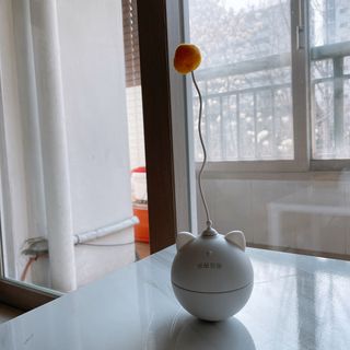 때니님이 올린 리뷰 사진 3