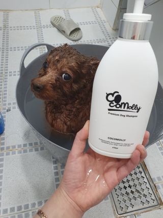 희야님이 올린 리뷰 사진 2