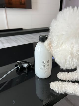 편백하라 피톤치드 편백수 탈취제 500ML — 4.5점을 준 리뷰어가 2022년 10월 올린 사용 사진