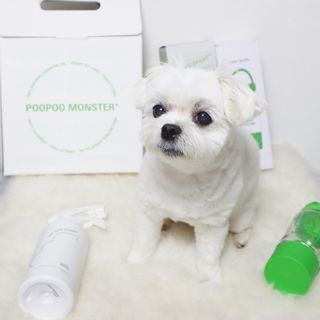 송린깡님이 올린 리뷰 사진 1