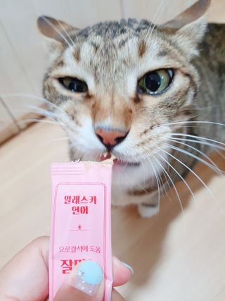 페페로니 잘 먹는 캣츄 - 알래스카 연어 24개입 — 5점을 준 리뷰어가 2021년 7월 올린 사용 사진