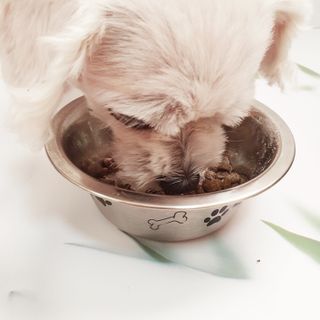 여늬님이 올린 리뷰 사진 2
