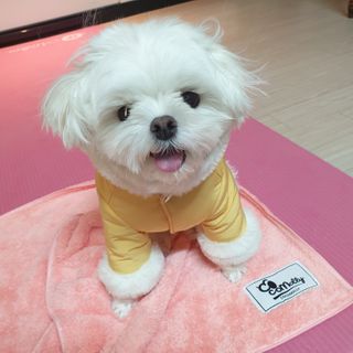 lala님이 올린 리뷰 사진 2